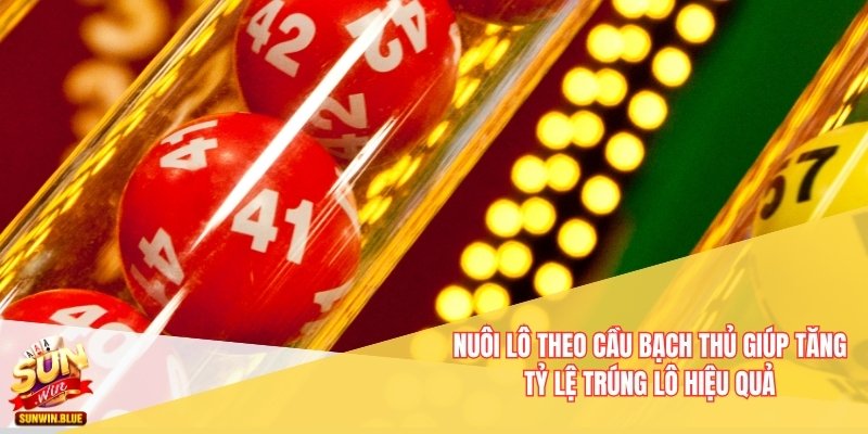 Bí Quyết Nuôi Lô Theo Cầu Bạch Thủ Dành Cho Người Mới 5 Nuôi lô theo cầu bạch thủ giúp tăng tỷ lệ trúng lô hiệu quả