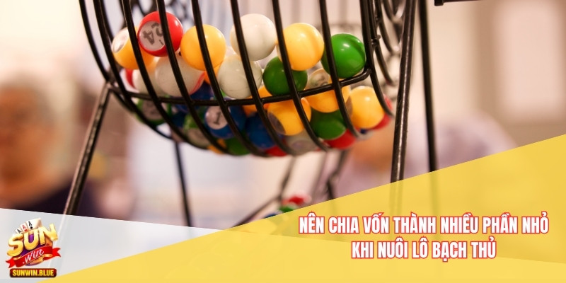 Bí Quyết Nuôi Lô Theo Cầu Bạch Thủ Dành Cho Người Mới 6 Nên chia vốn thành nhiều phần nhỏ khi nuôi lô bạch thủ
